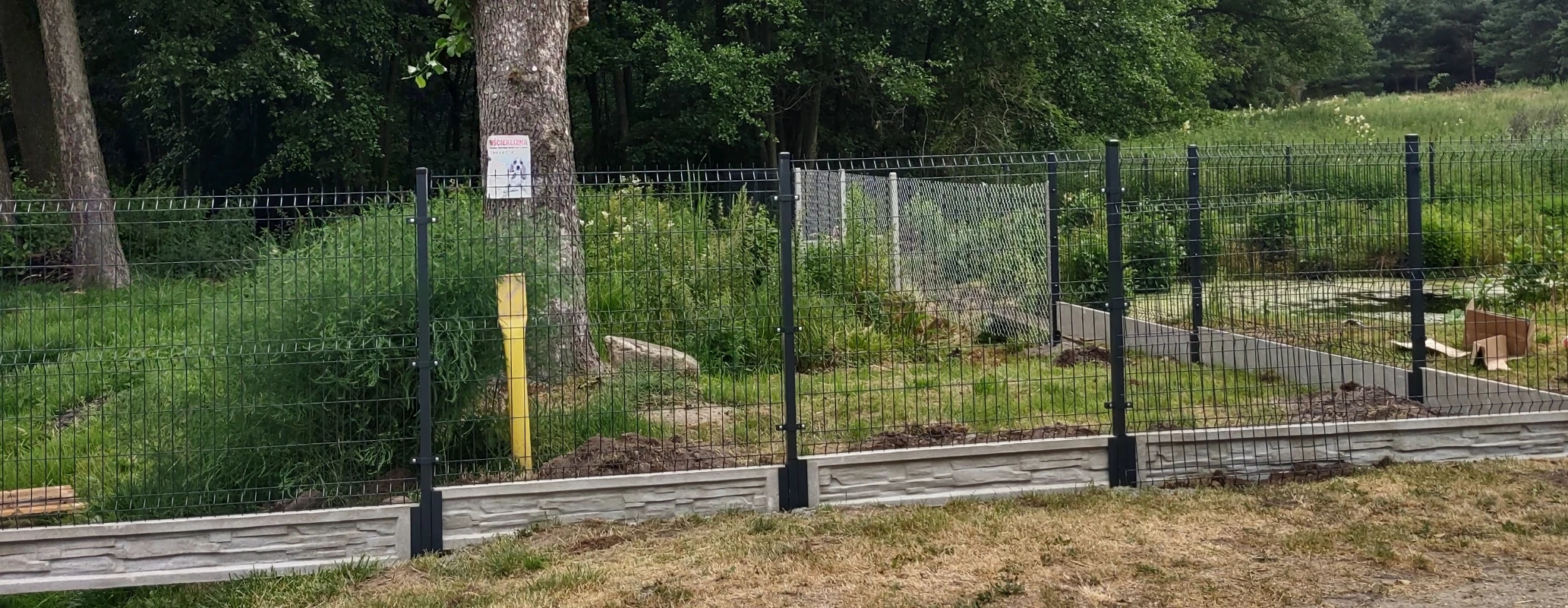 Zdjęcie - ogrodzenia panelowe